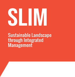 SLIM Logo